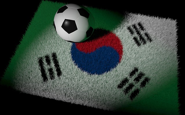 ワールドカップ18韓国代表のファウルが最多数で酷い 動画 イベント日記